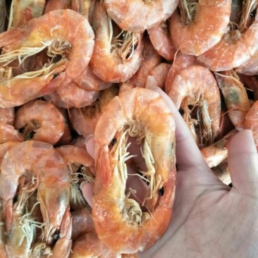 对虾干