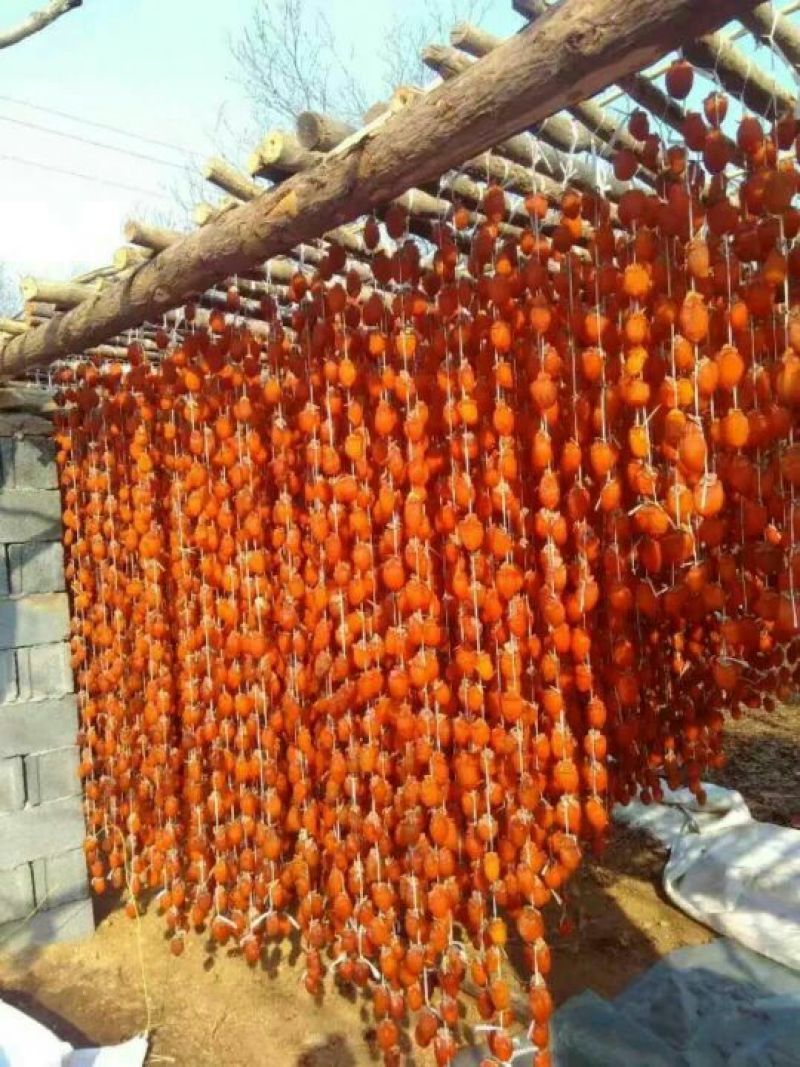 柿饼1~2两