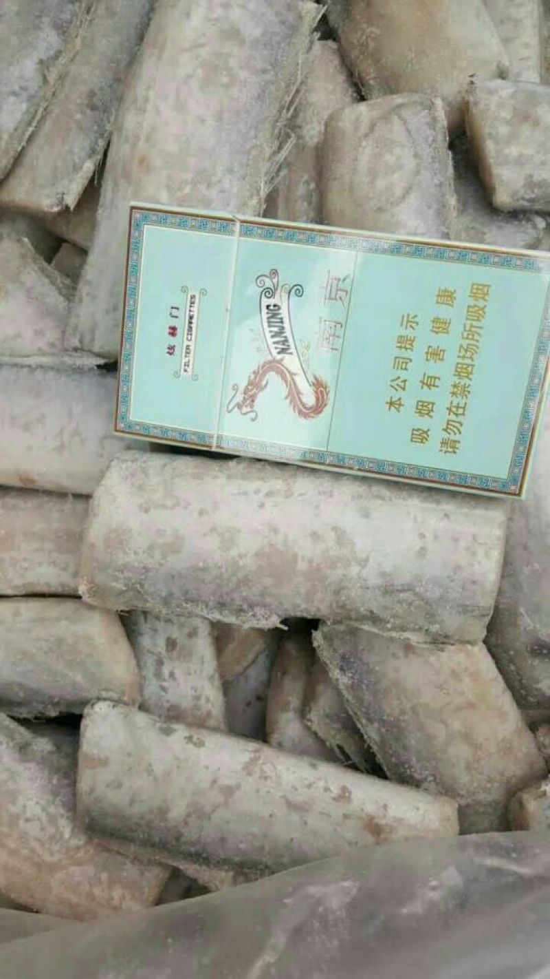 刀鱼食用冰鲜鱼