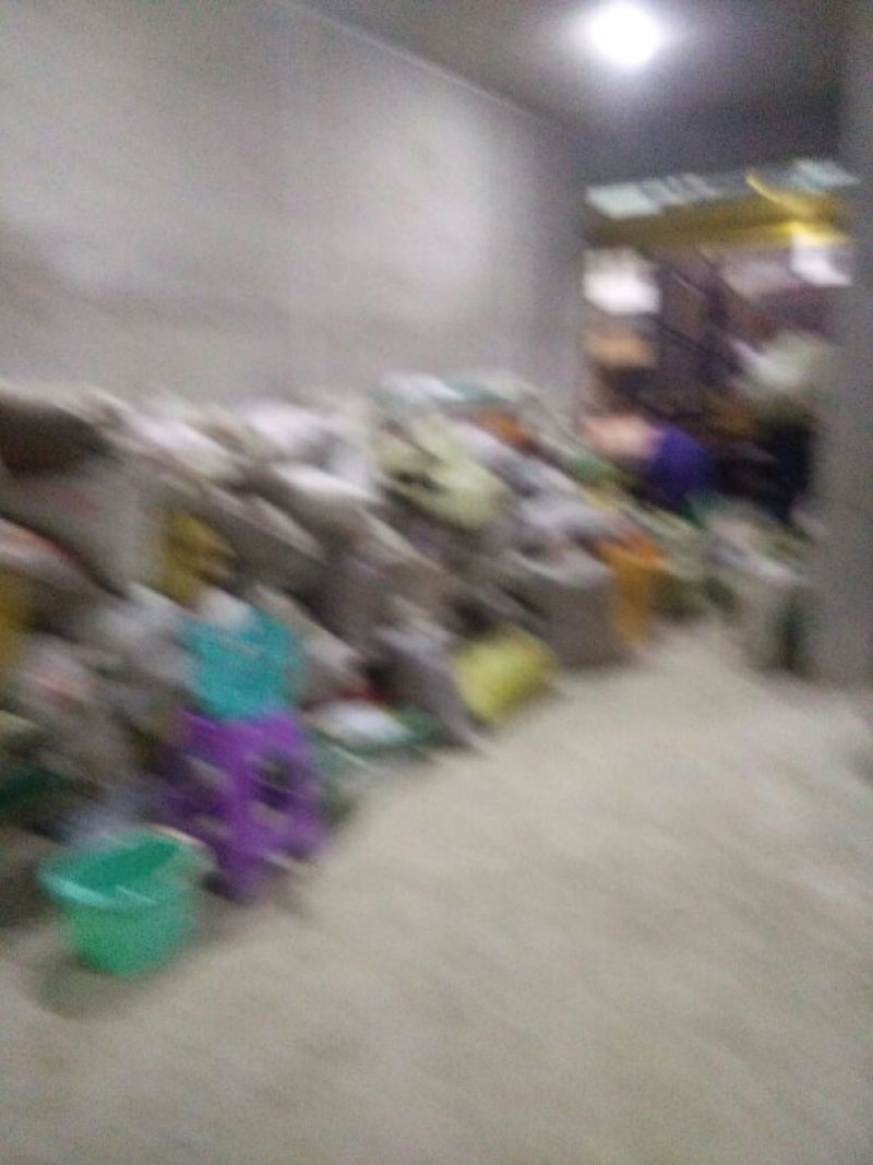青冈子