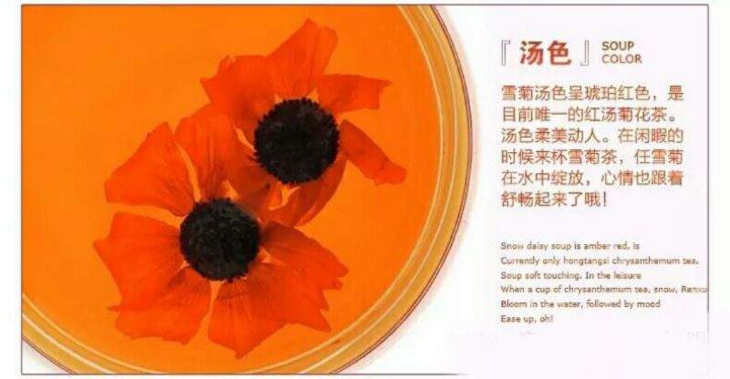 产新昆仑雪菊高海拔生态雪菊500g包邮一件代发