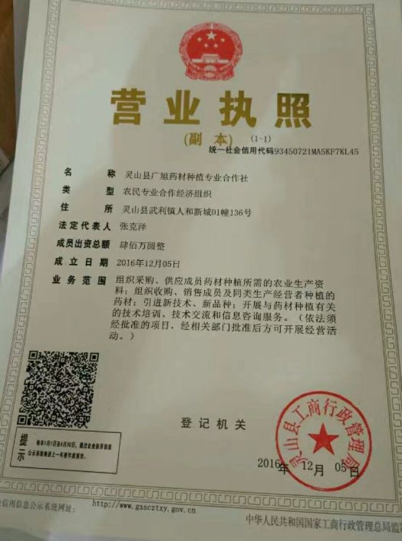 牛大力种苗15~30cm杯苗裸根苗都有