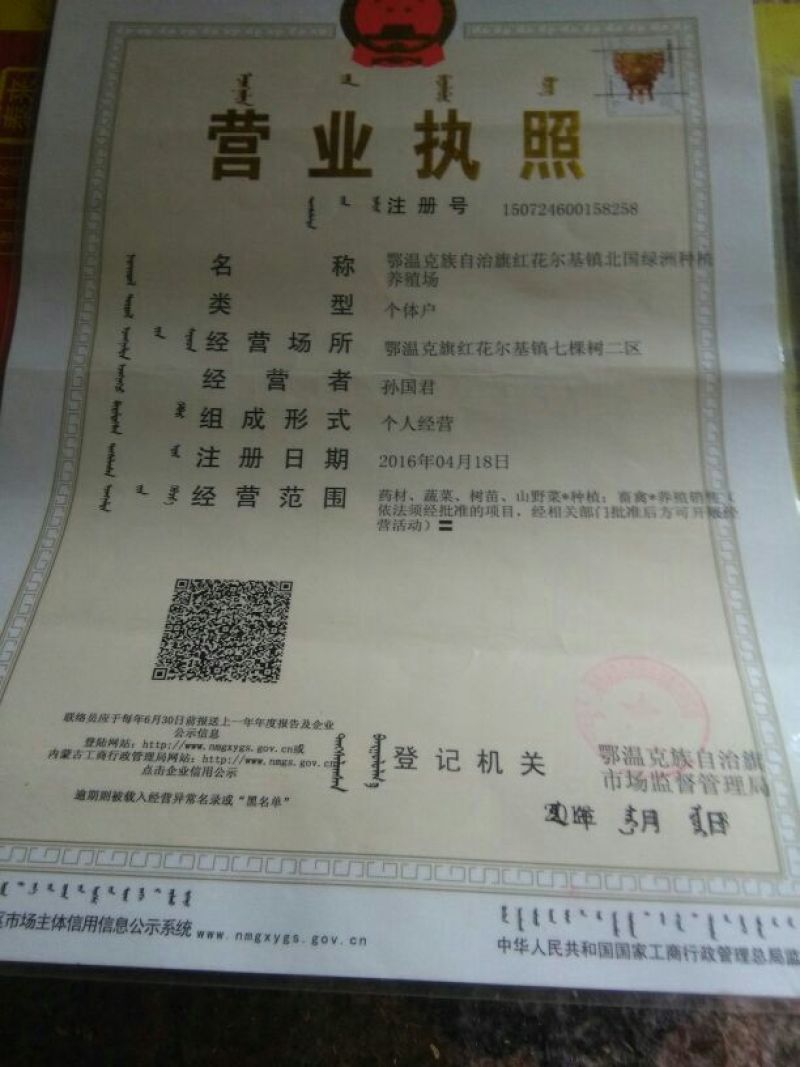 防风野统籽播