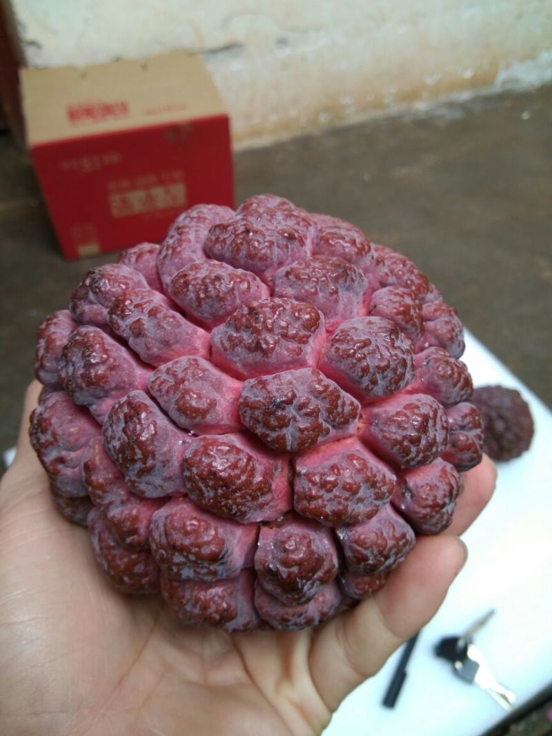 台湾释迦特级350~450g