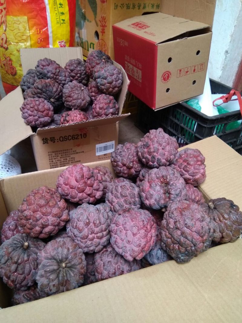 台湾释迦特级350~450g