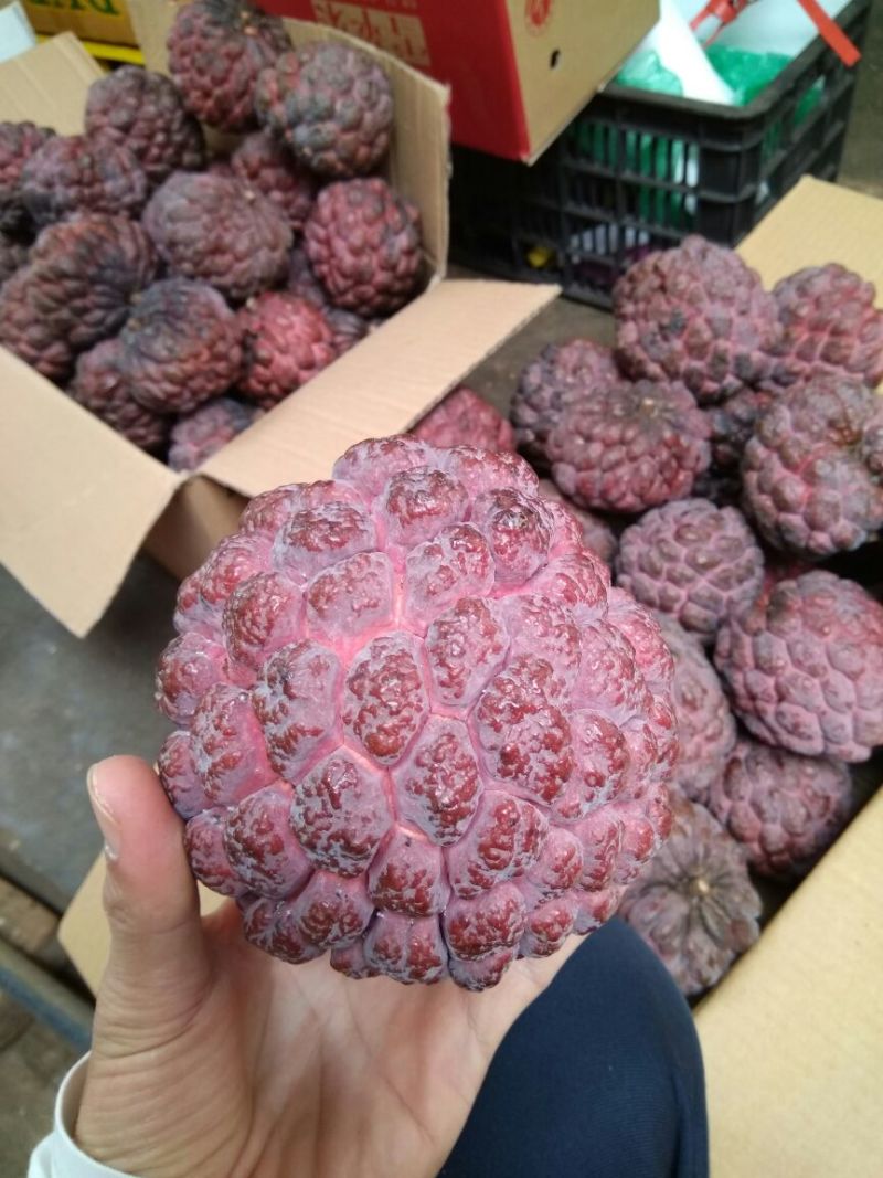 台湾释迦特级350~450g