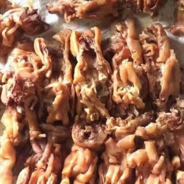 牛蹄筋新鲜