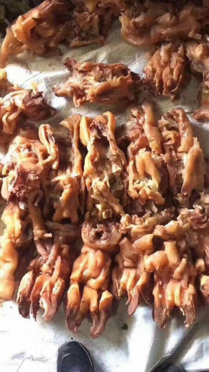 牛蹄筋新鲜