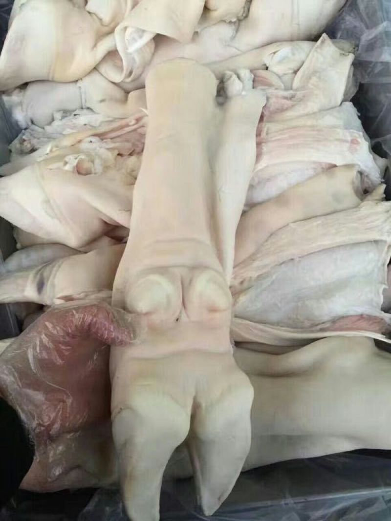 牛蹄筋新鲜