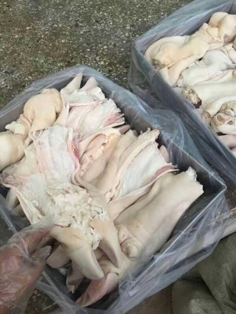 牛蹄筋新鲜