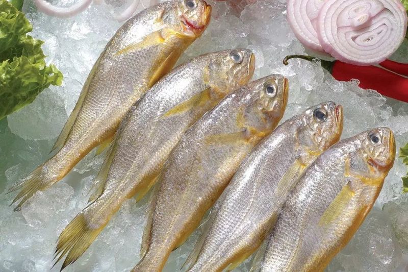 小黄鱼食用