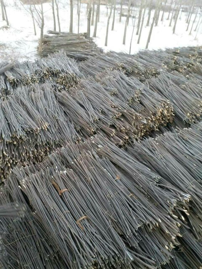 柳条自产自销规格齐全天南地北配送
