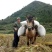 肉马300~400kg
