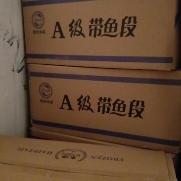 刀鱼食用冻鱼