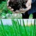 东北大米一级新米