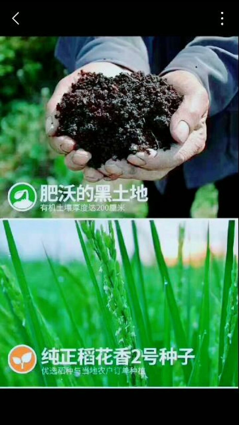 东北大米一级新米