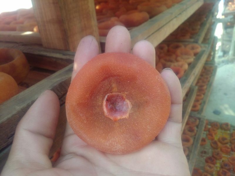 柿饼1~2两
