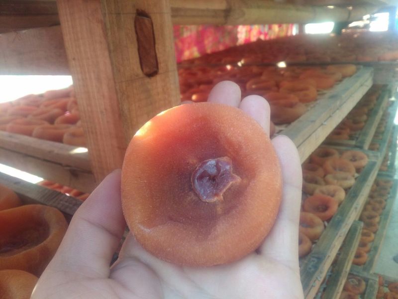 柿饼1两以下