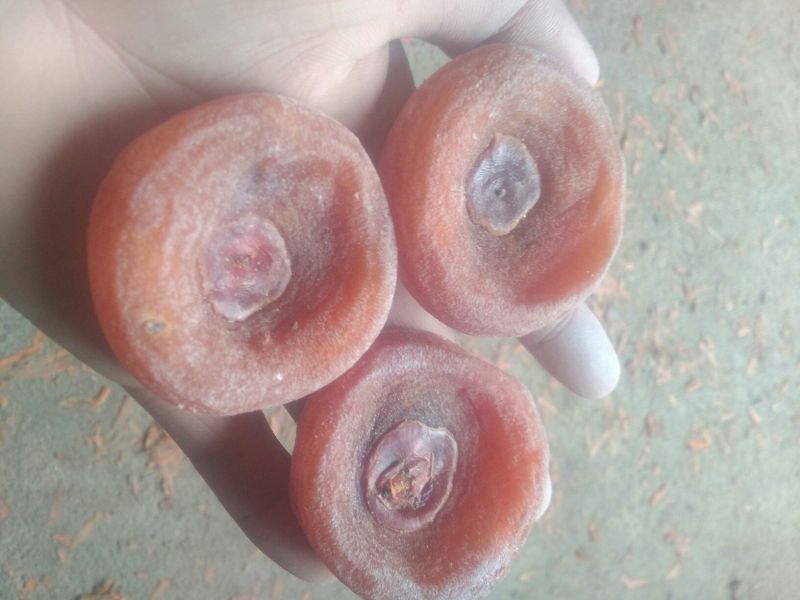 柿饼1两以下