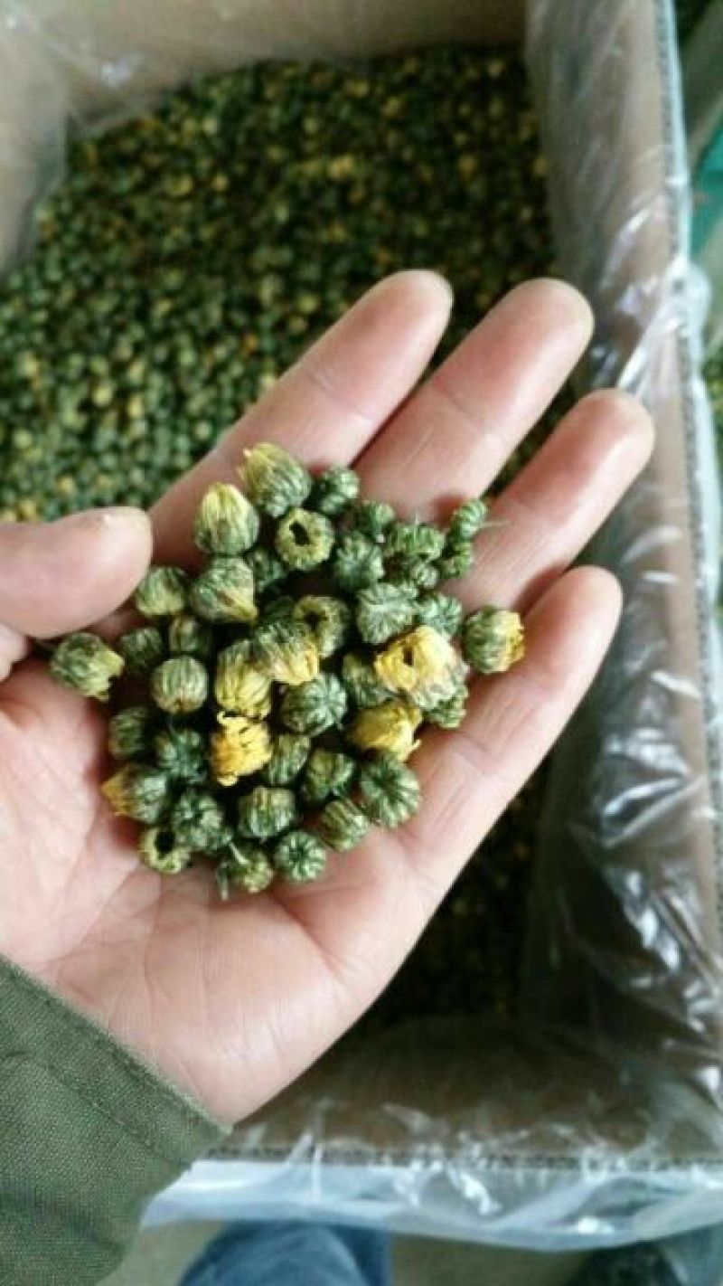 杭白菊散装