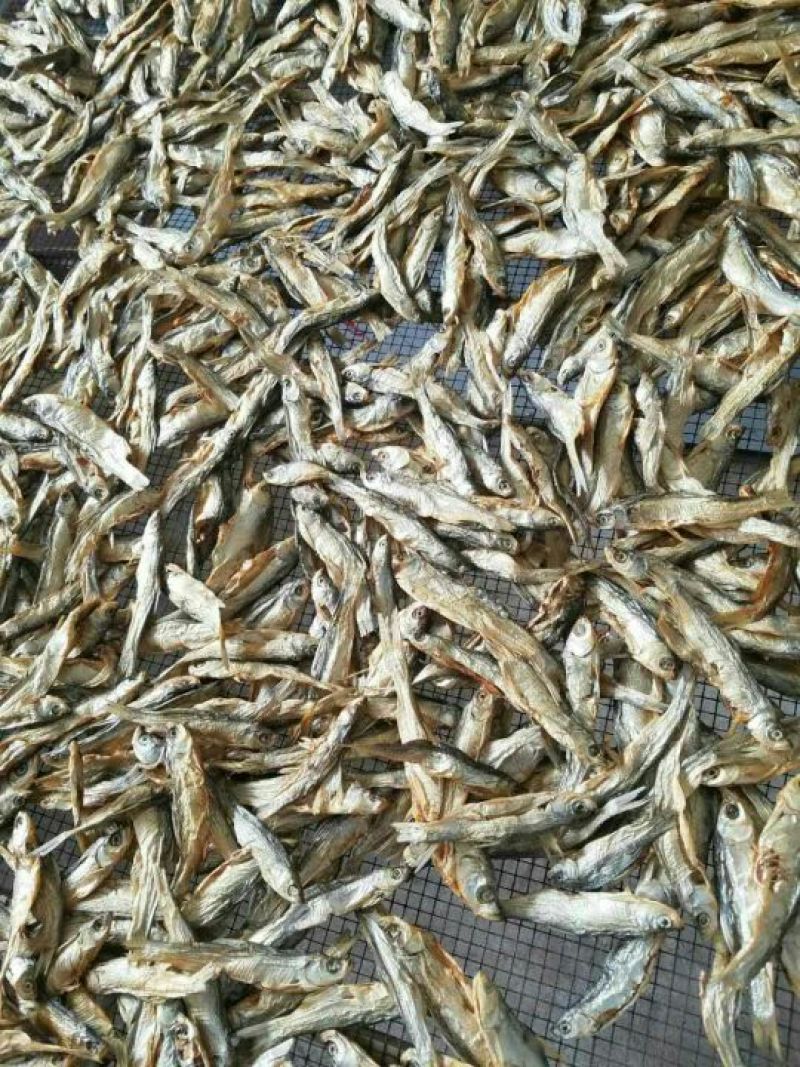餐鲦鱼