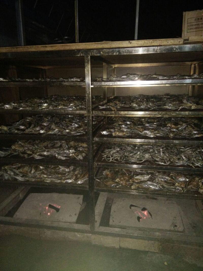 餐鲦鱼