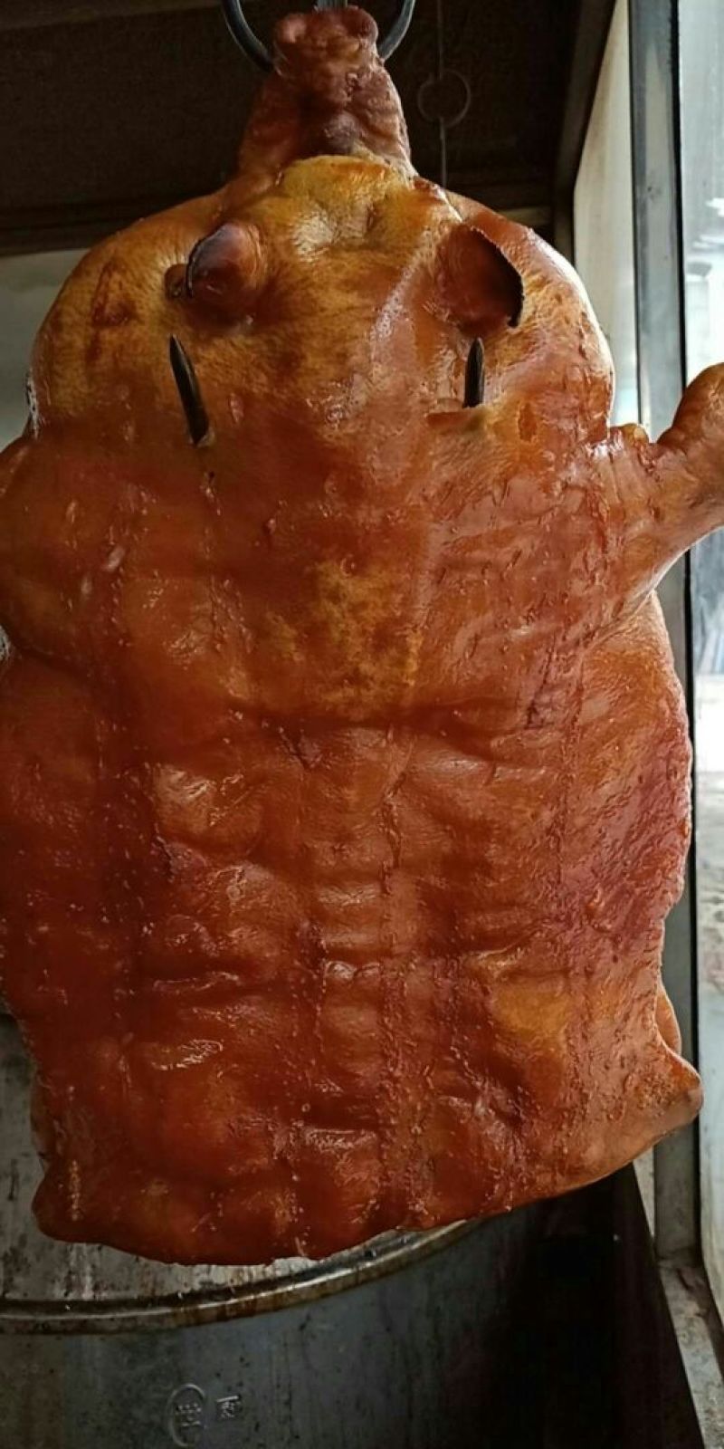 巴马香猪公