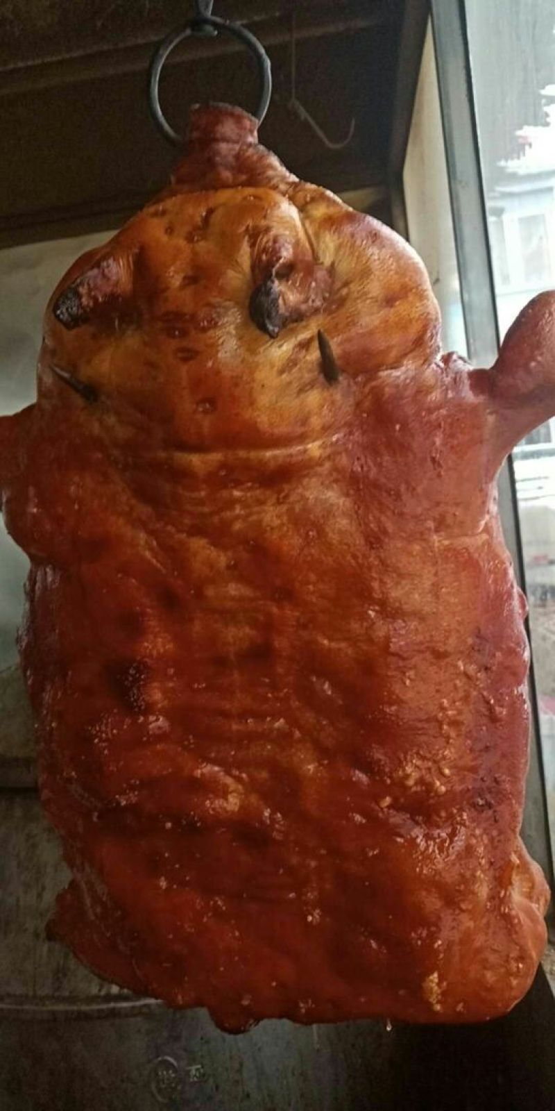 巴马香猪公