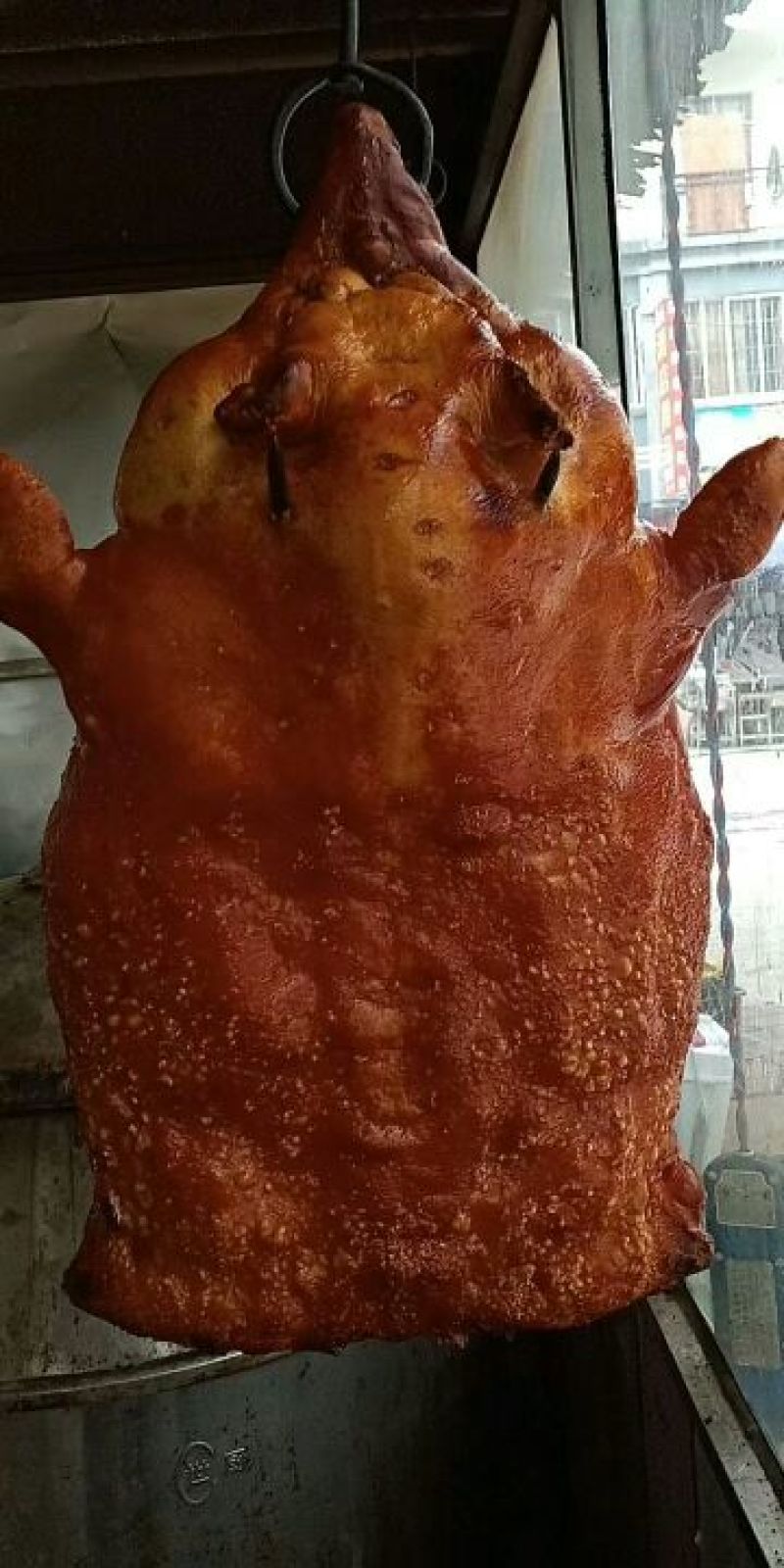 巴马香猪公