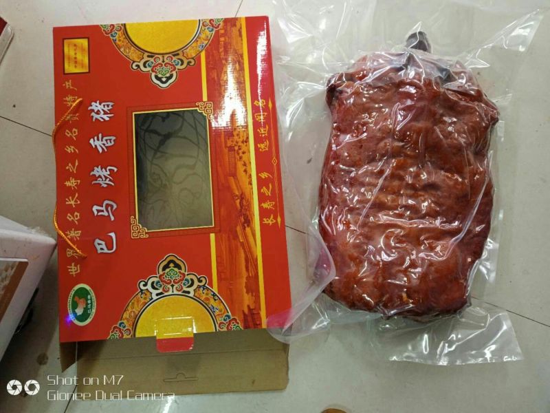 巴马香猪公