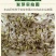 蒲公英籽多年生草本2斤/亩四季播种简单易管理