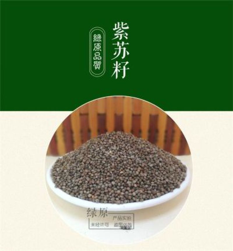 紫苏种子春夏播种一年生草本简单易管理适应能力强