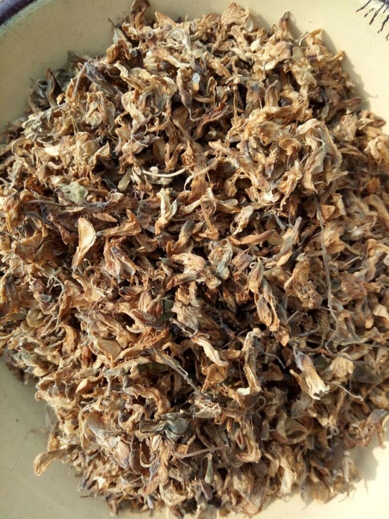 槐花河南野生支持线上保障交易可视频看货