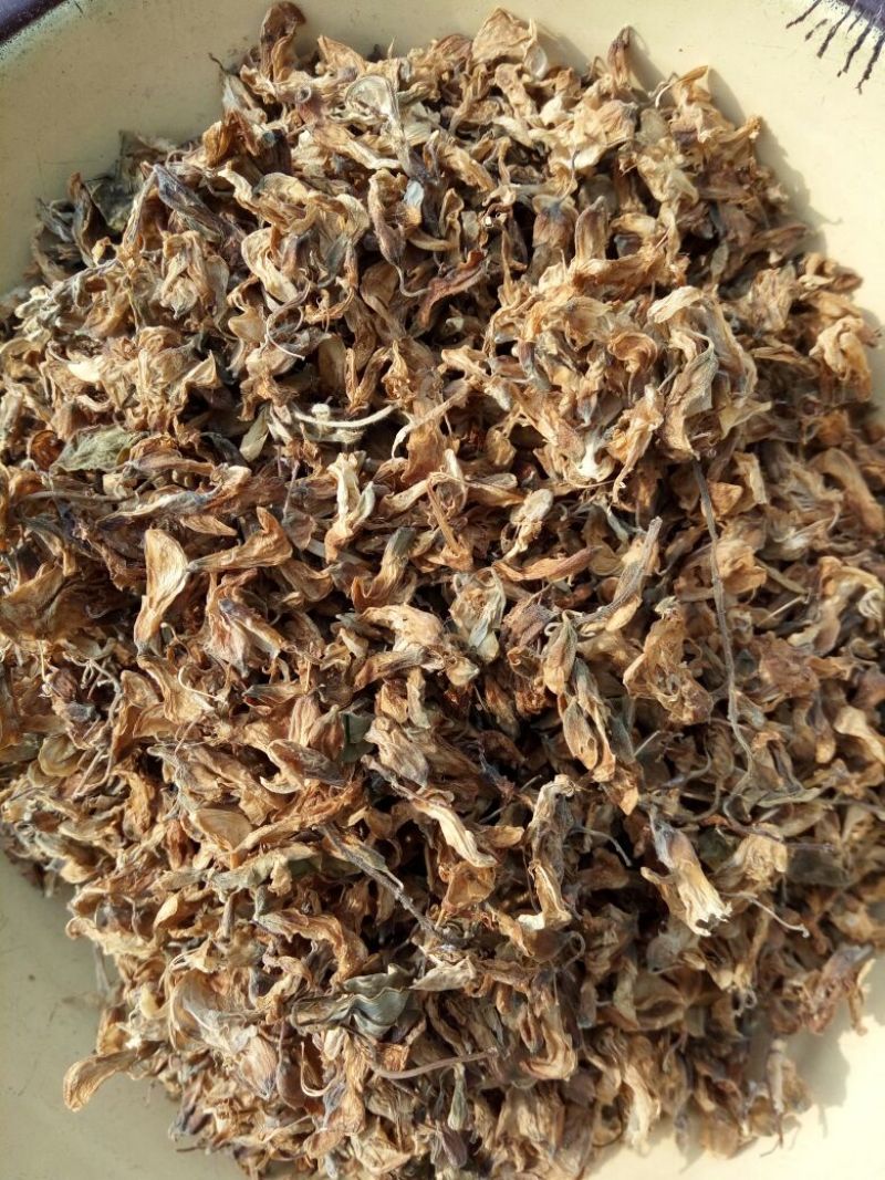 槐花河南野生支持线上保障交易可视频看货