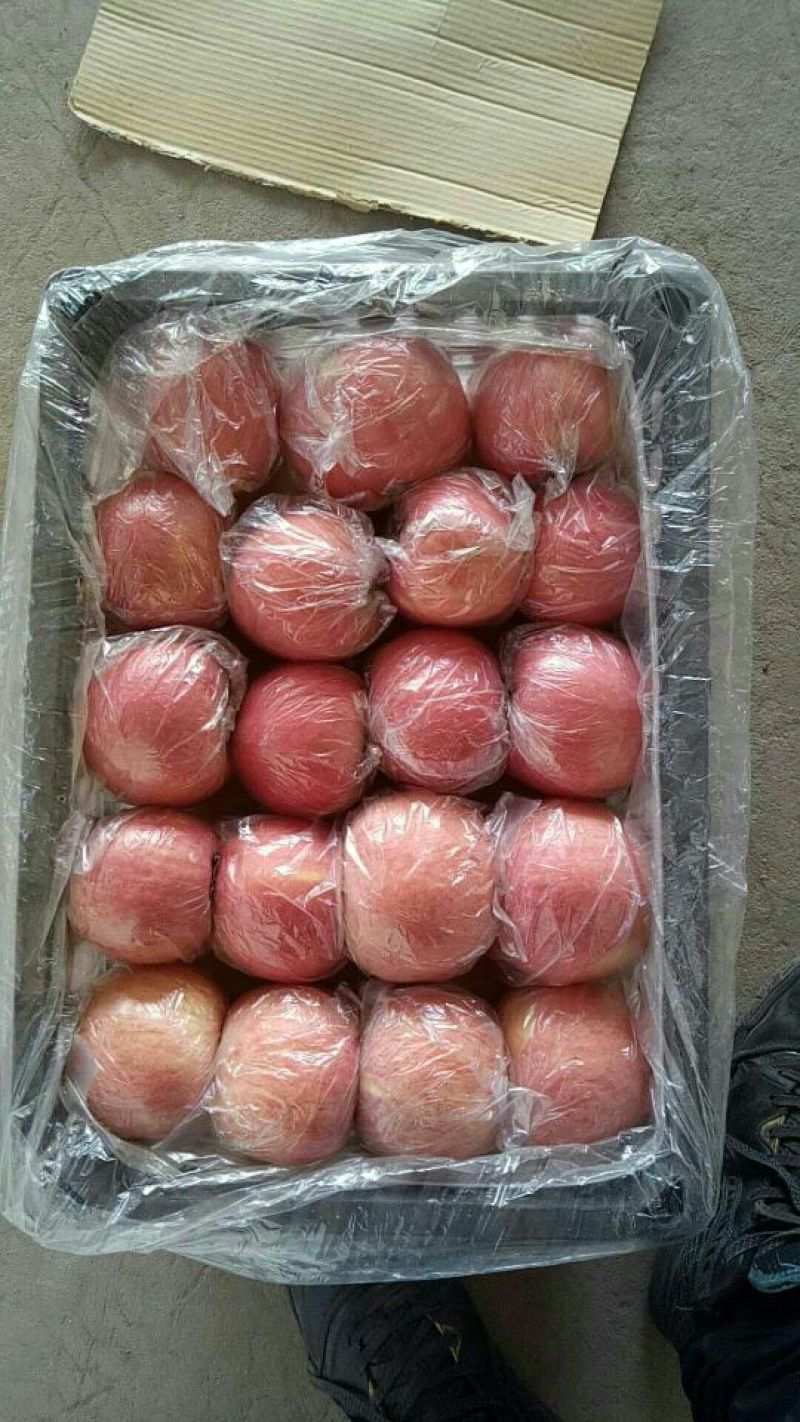 苹果75mm以上光果