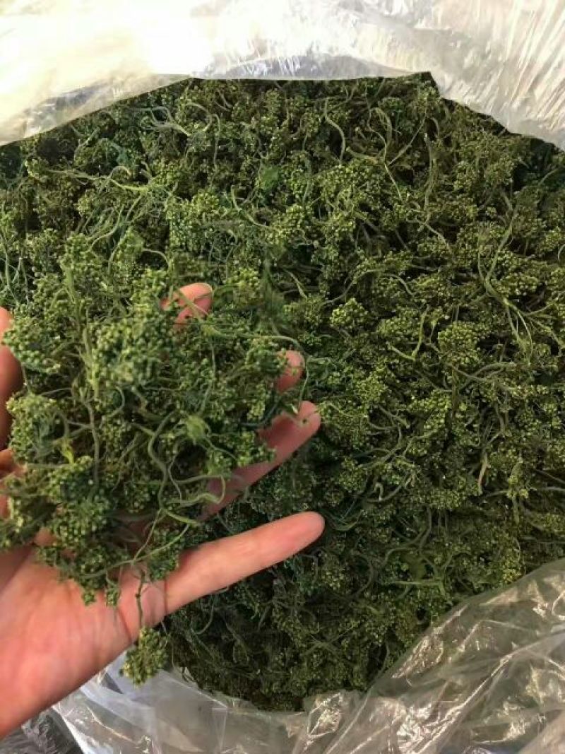 人参花茶一级