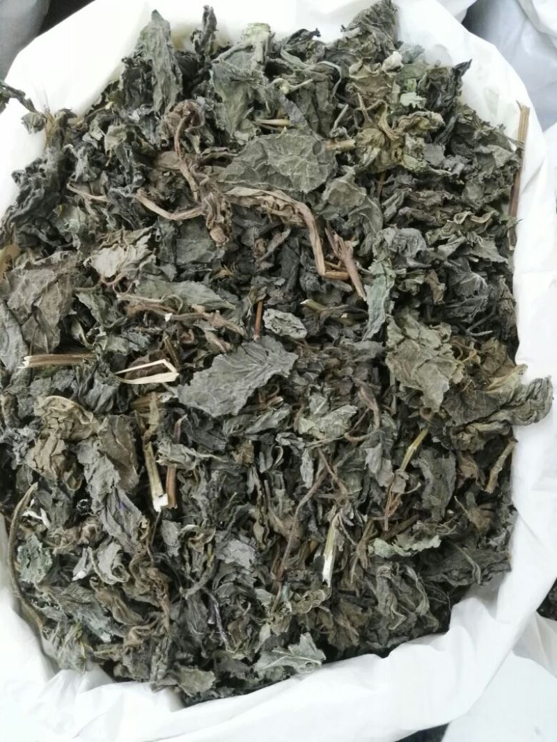 紫苏叶苏叶