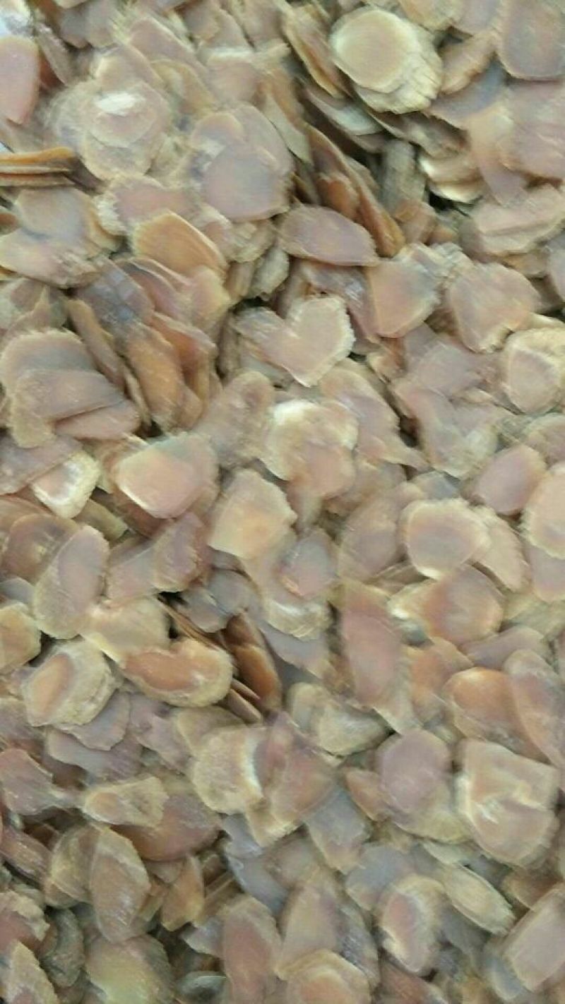 红参片