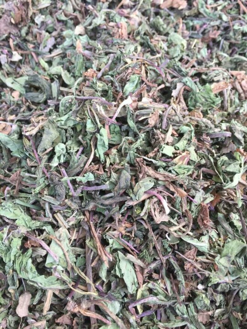 蒲公英根蒲公英