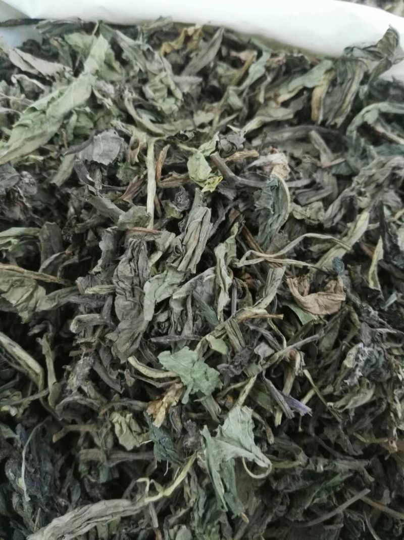 蒲公英根蒲公英