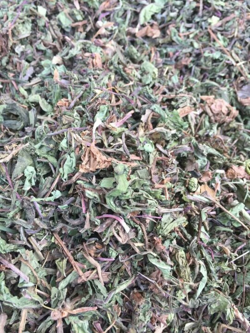 蒲公英根蒲公英
