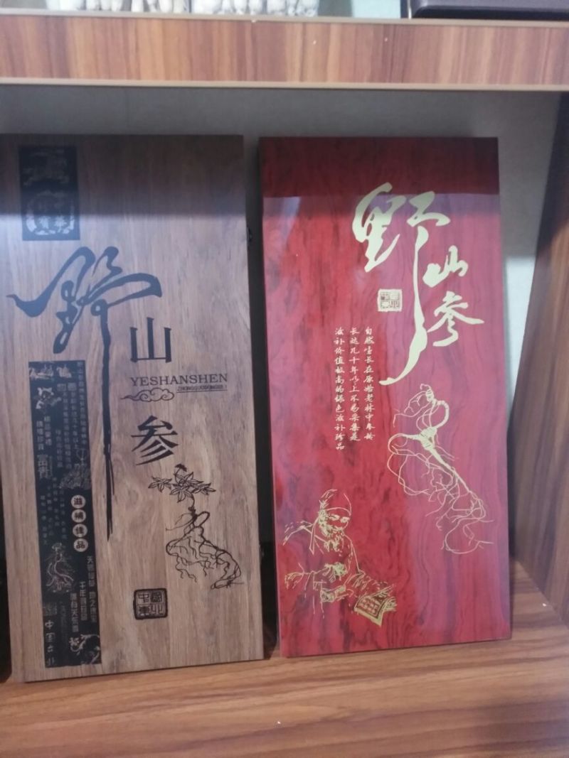 野山参干