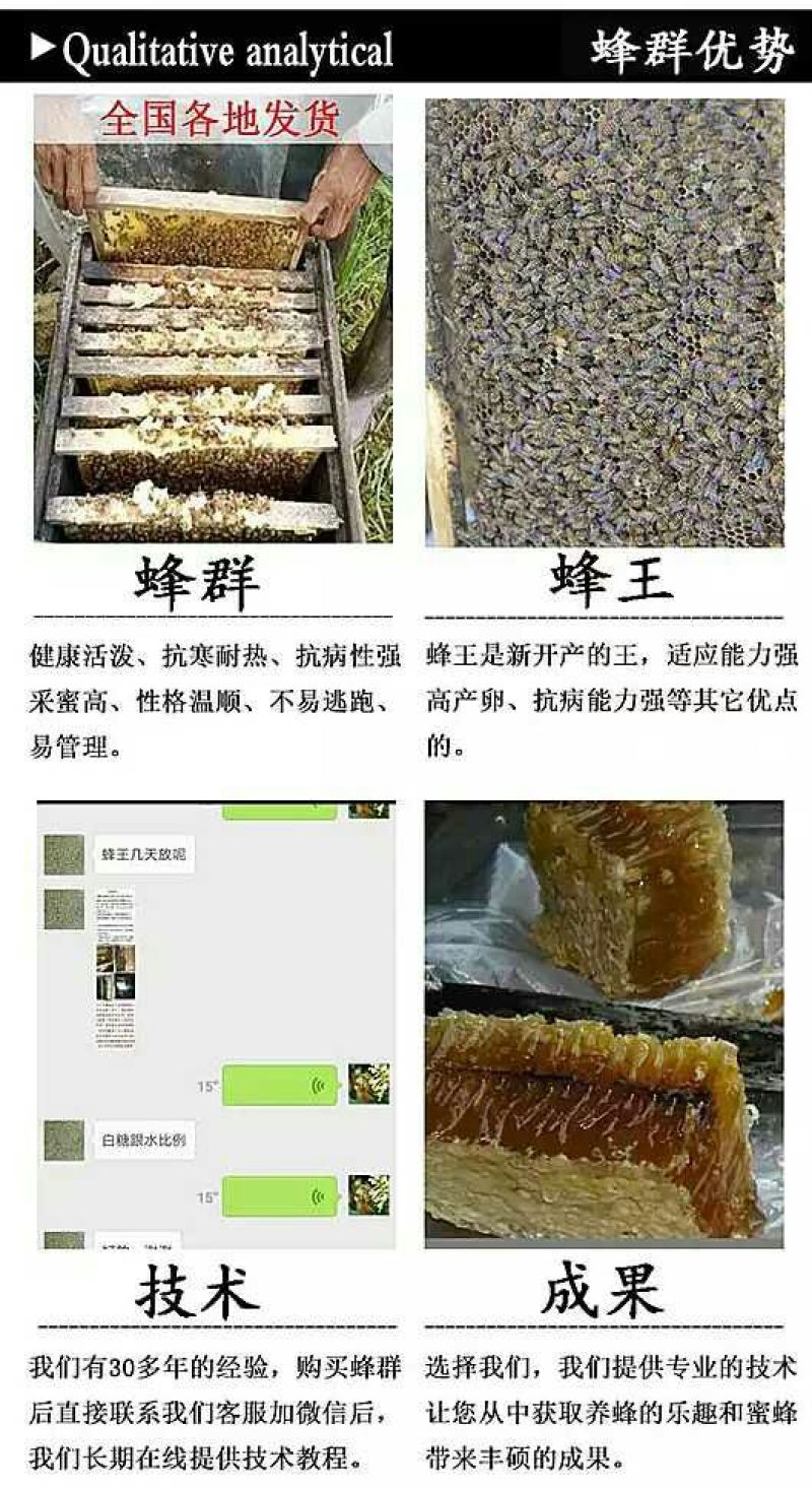 中蜂平箱装