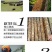 中蜂平箱装