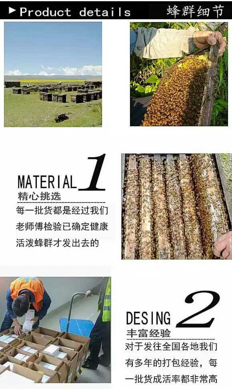 中蜂平箱装