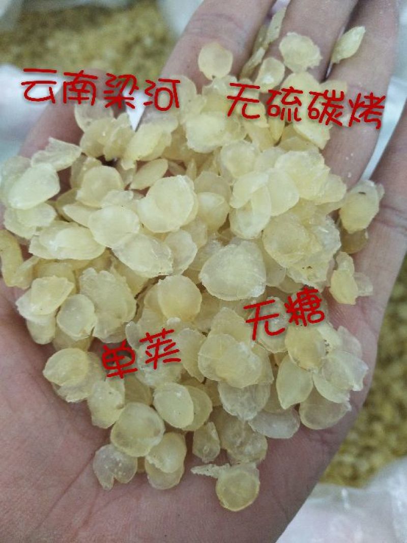 皂角米雪莲子贵州毕节双荚云南梁河单荚