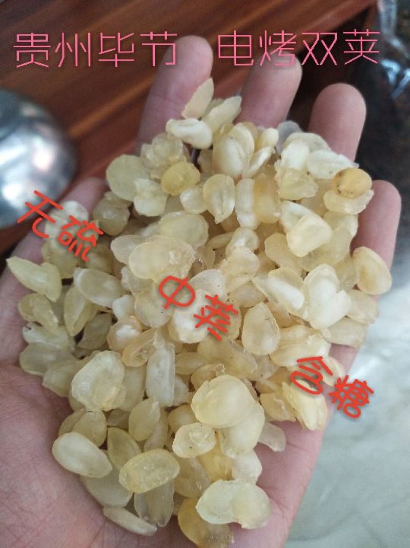 皂角米雪莲子贵州毕节双荚云南梁河单荚