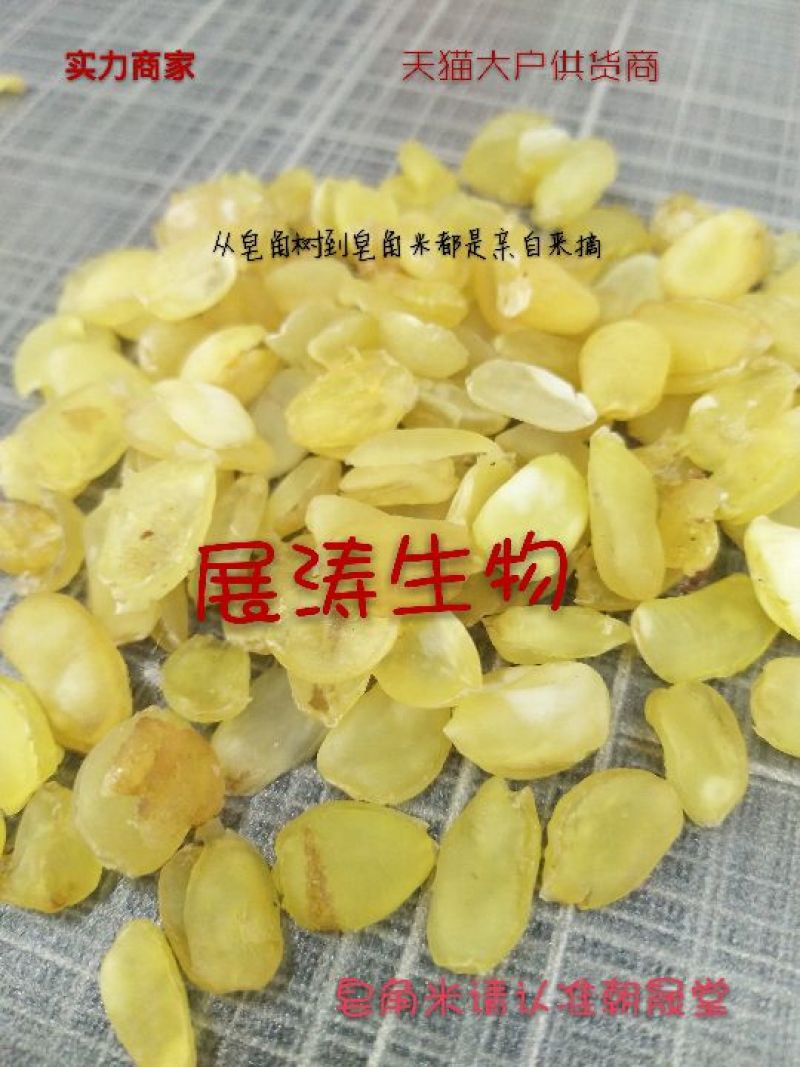 皂角米雪莲子贵州毕节双荚云南梁河单荚