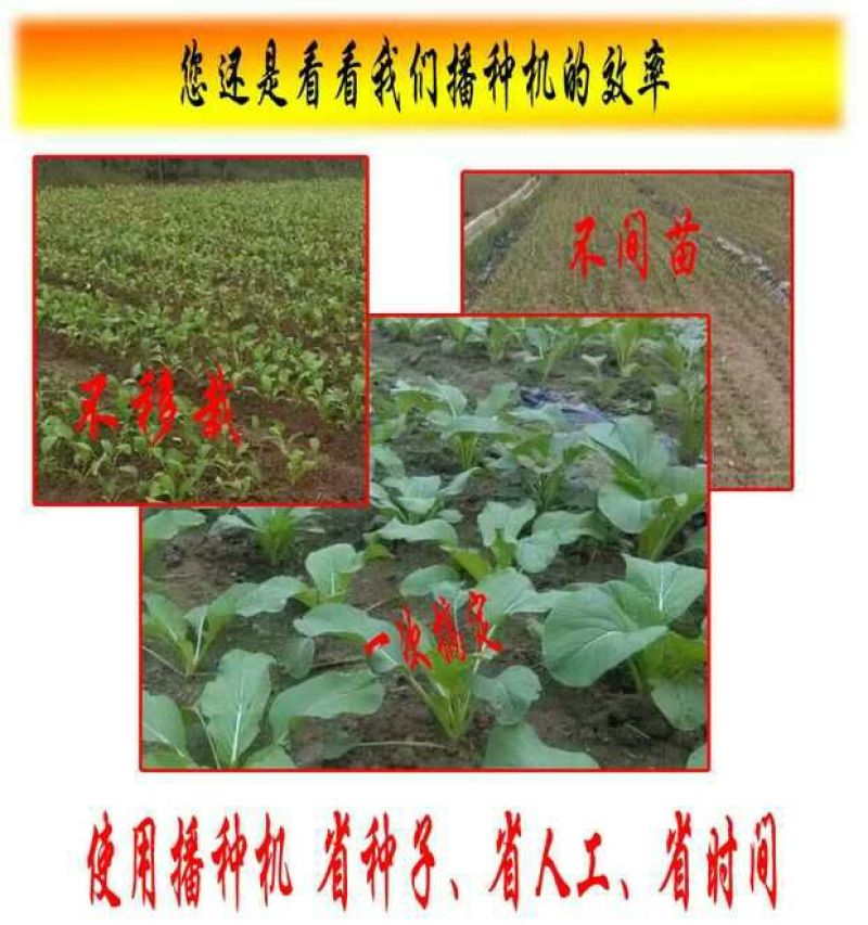 播种机6行小助手多功能手推式蔬菜播种机可调节白菜菜心等