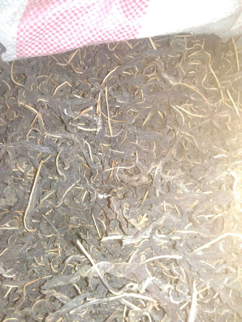 芝麻叶中叶
